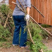 10 Steps For End-Of-Summer Yard Cleanup