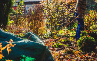 Common Yard Waste That Can Go In A Dumpster