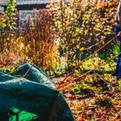 Common Yard Waste That Can Go In A Dumpster
