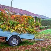 Quick Guide To Roll Off Dumpster Rentals For Yard Waste