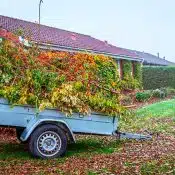 Quick Guide To Roll Off Dumpster Rentals For Yard Waste