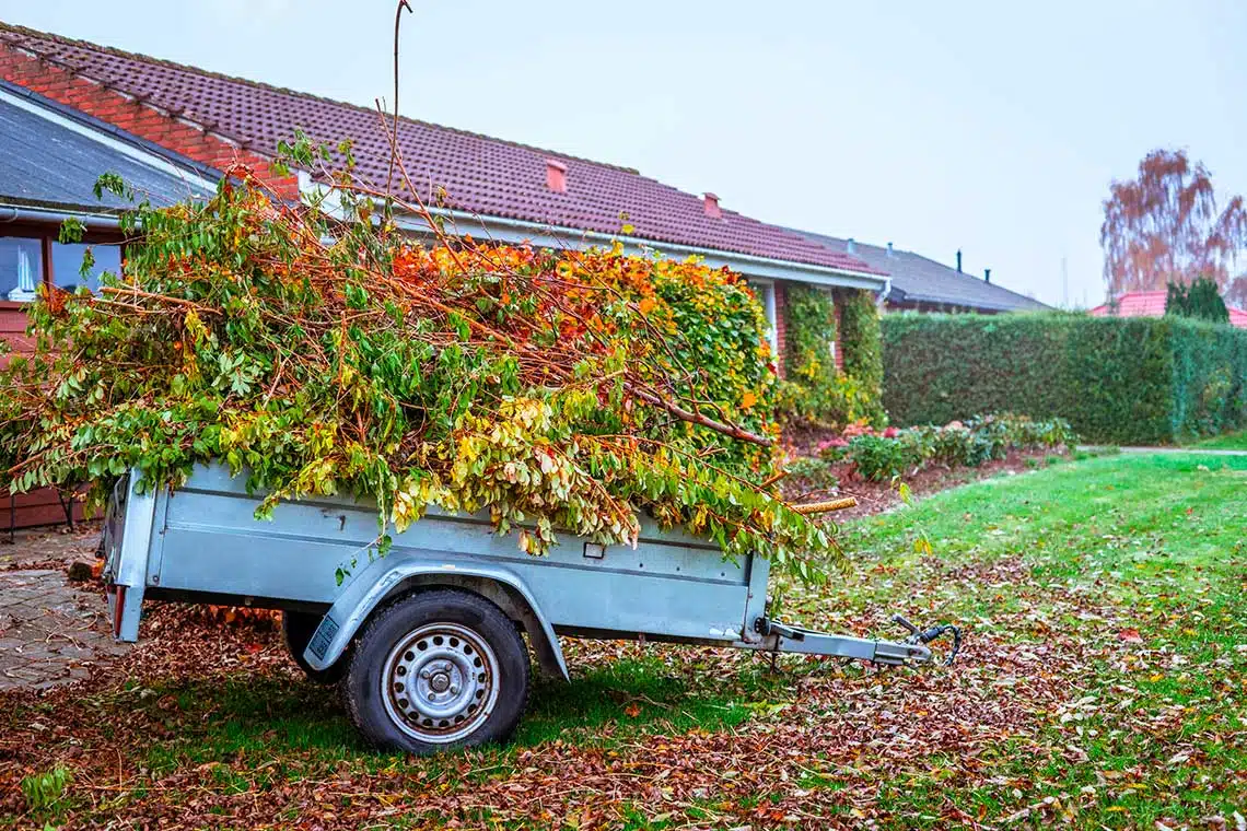 Quick Guide To Roll Off Dumpster Rentals For Yard Waste