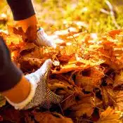 Roll-Off Dumpster Rental For Yard Waste