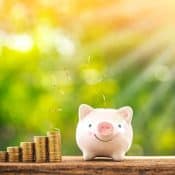 Top Tips to Save Money on Your Dumpster Rental