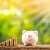 Top Tips to Save Money on Your Dumpster Rental