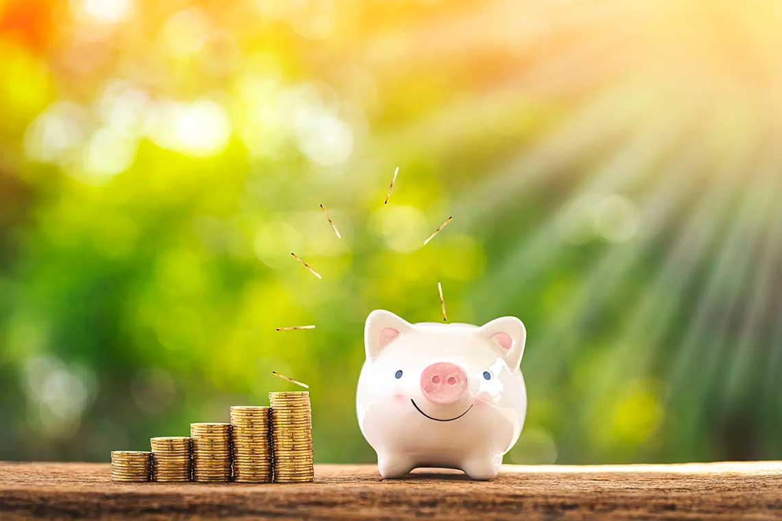 Top Tips to Save Money on Your Dumpster Rental