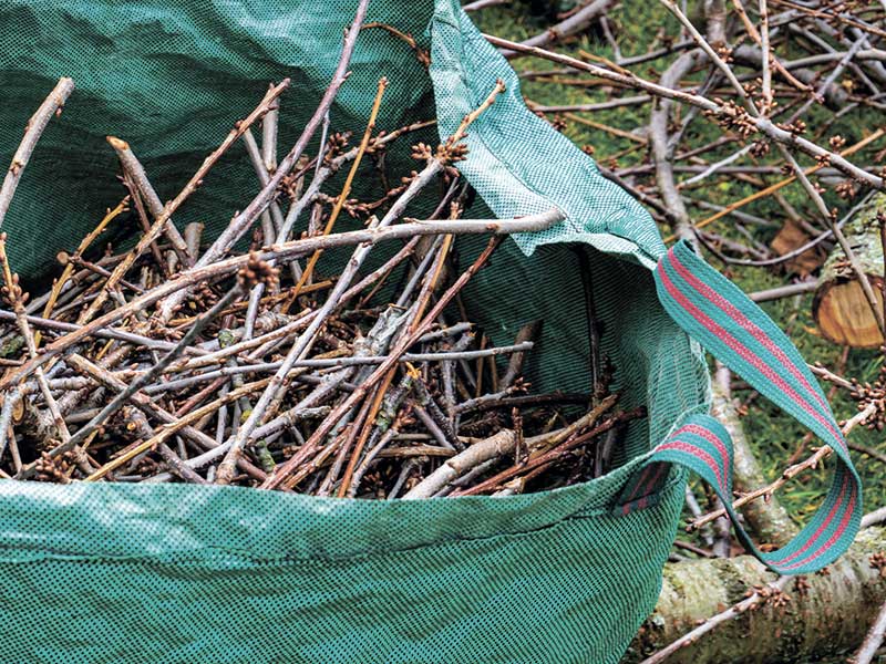 Yard Waste Dumpster in Fort Worth